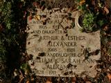 image number Black Alex 552